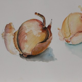 Study of Onions